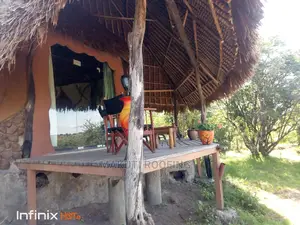 Makuti and Makonge for Sale, Best for Makuti Roofing