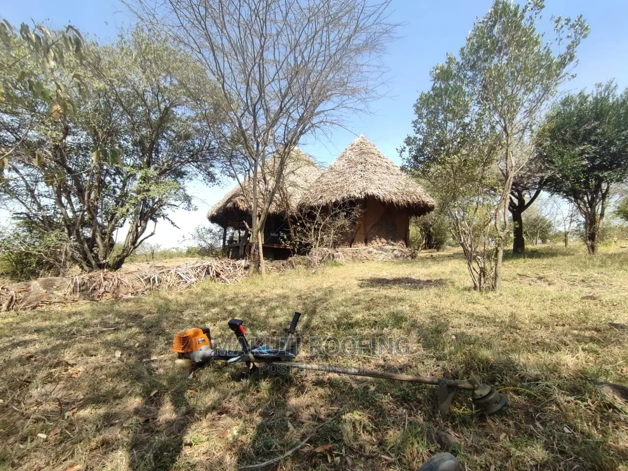 Makuti and Makonge for Sale, Best for Makuti Roofing