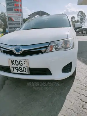 Car Hire Services