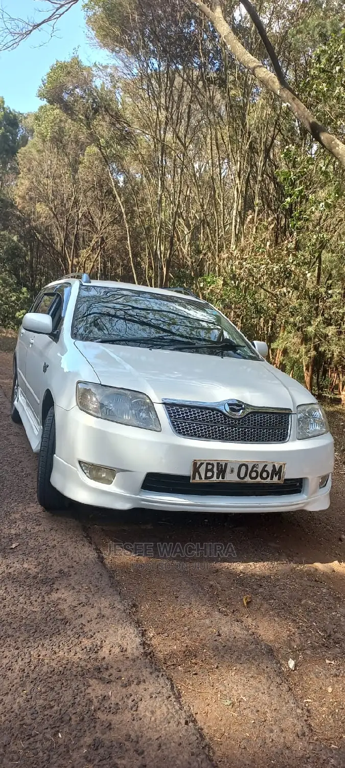 Car Hire Services