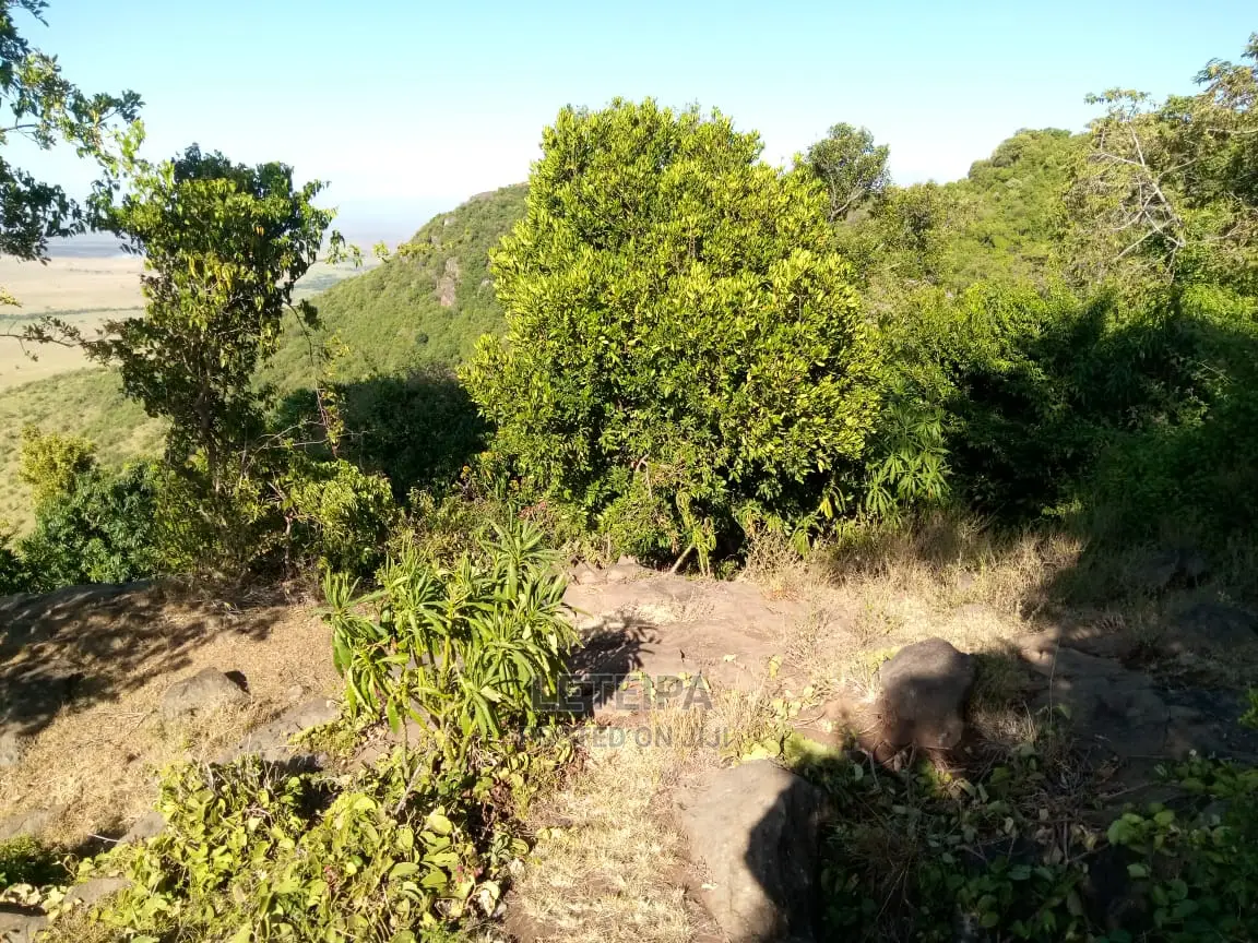 50acres Along the Mara Triangle Escapment