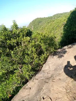 50acres Along the Mara Triangle Escapment