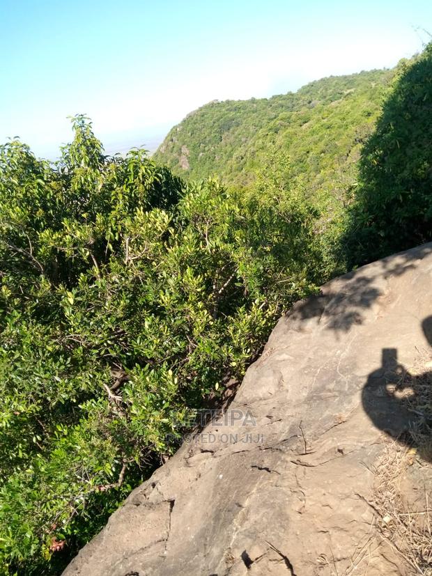 50acres Along the Mara Triangle Escapment - thumbnail 4