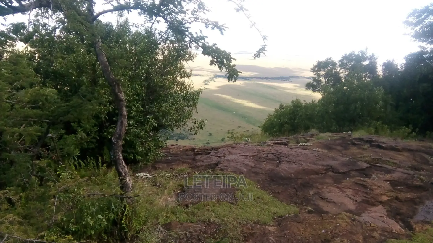 50acres Along the Mara Triangle Escapment