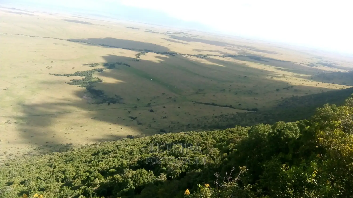 50acres Along the Mara Triangle Escapment