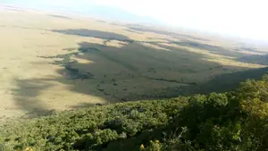 50acres Along the Mara Triangle Escapment