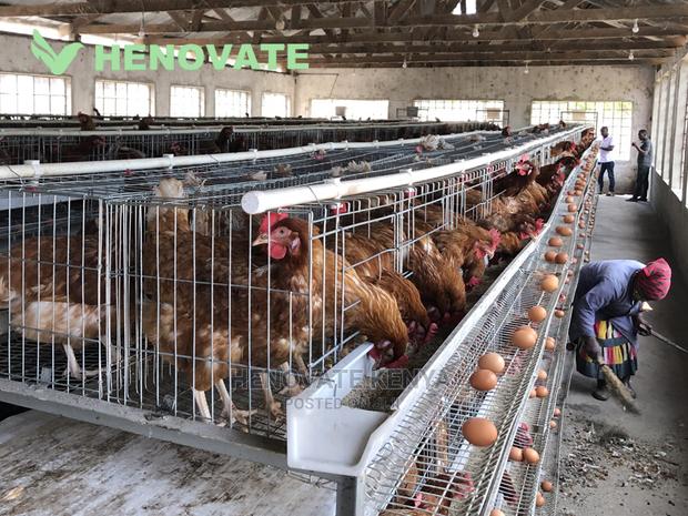 H-Type Layers Cage Saving Space - thumbnail 3