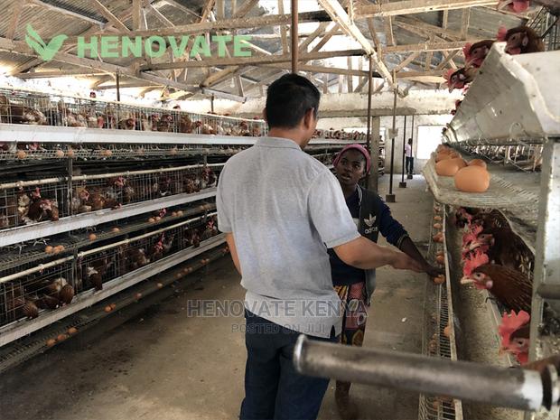 H-Type Layers Cage Saving Space - thumbnail 5