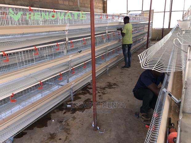 New H-type Chicken Cages - thumbnail 3