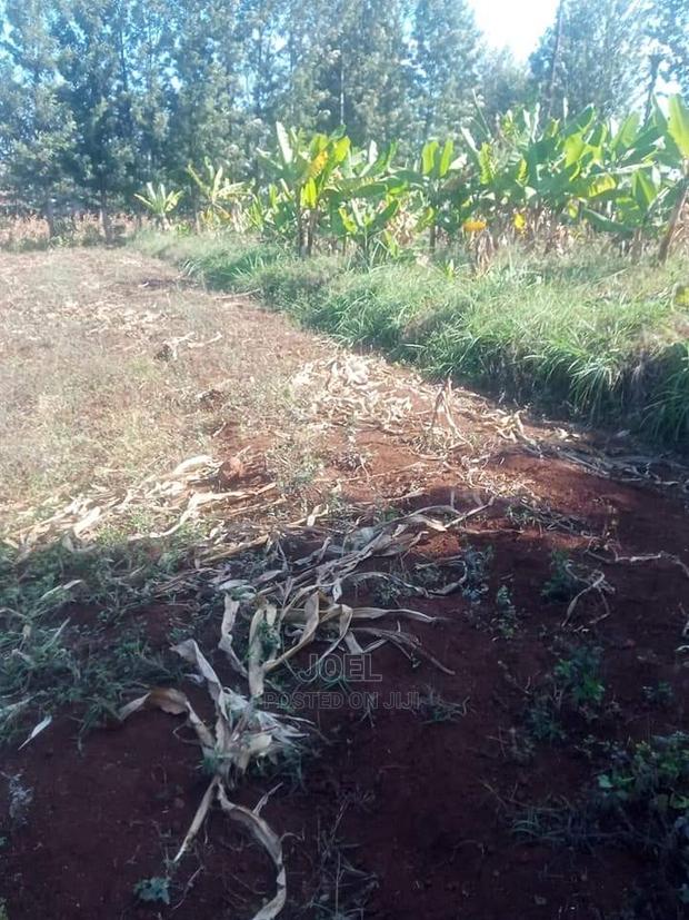 38 Acres Malindi Land - thumbnail 3