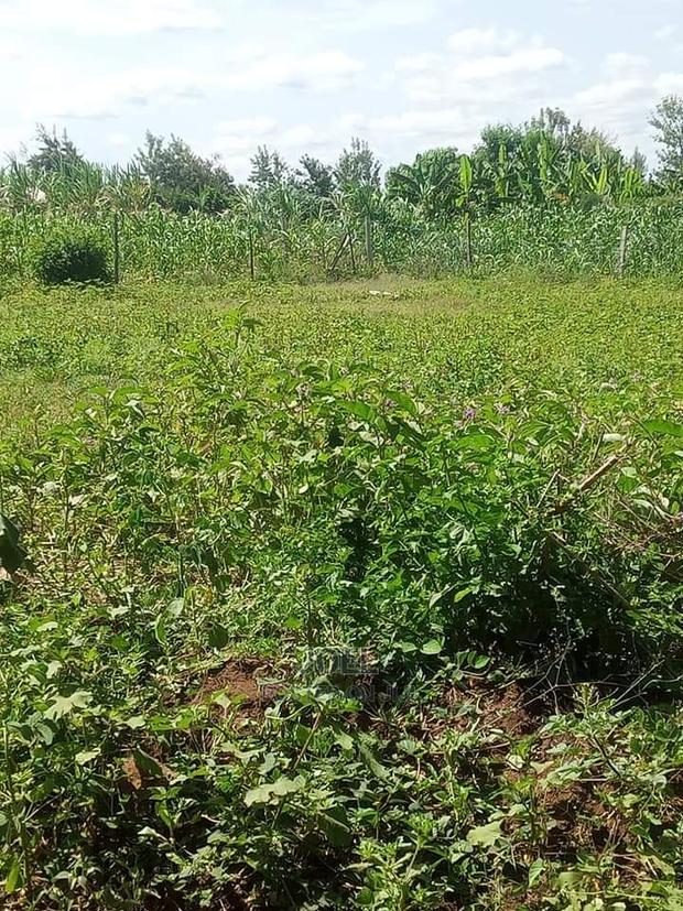 Malindi 3 Acres Land on Sale - thumbnail 3