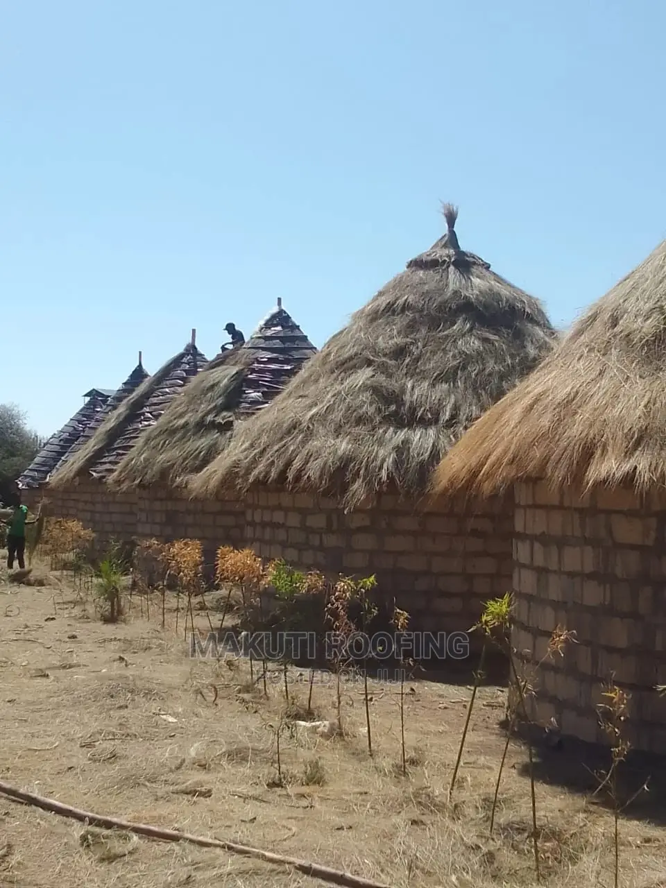 Grass Thatching and Makuti Roofing Designers