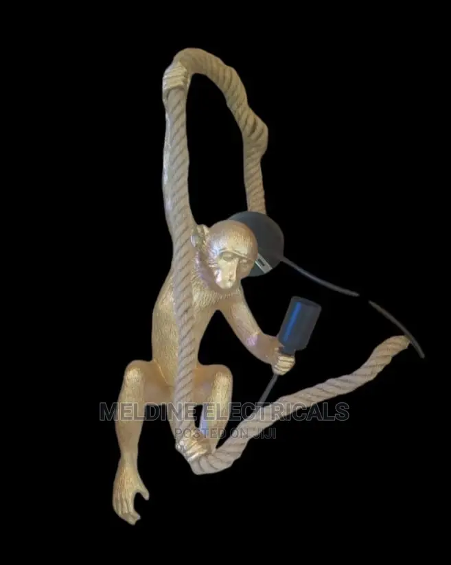 Monkey Hanging Wall Light Light