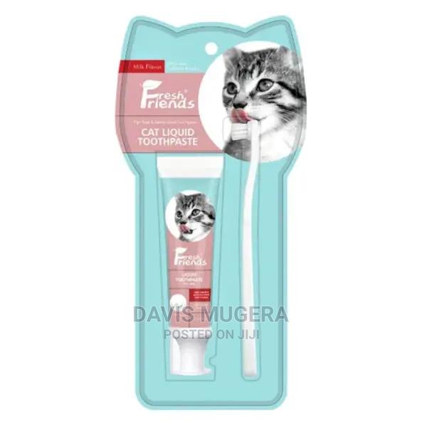 Fresh Friends Milk Flavoured Cat Toothpaste Toothbrush Set - main view