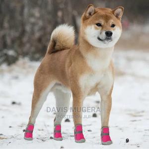 Fashion Bootie Warm Dog Boots - thumbnail 2