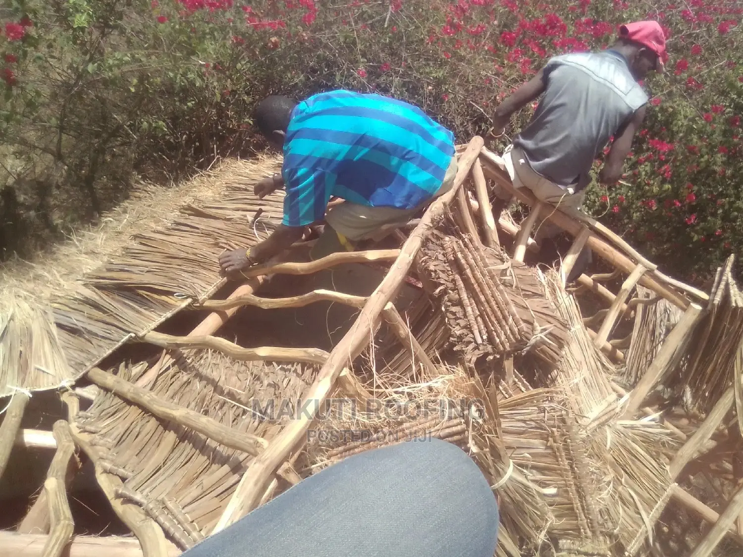 Professional Makuti Roofing and Installation