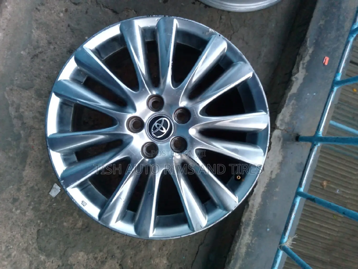 Harrier Size 18 Inch Original