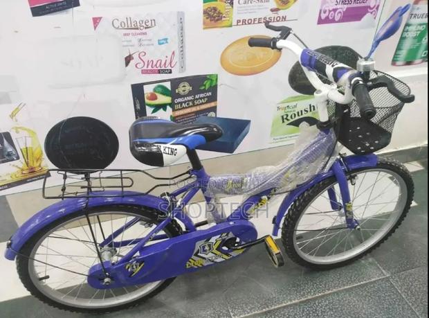 Size 18 Premier Bicycle. - main view