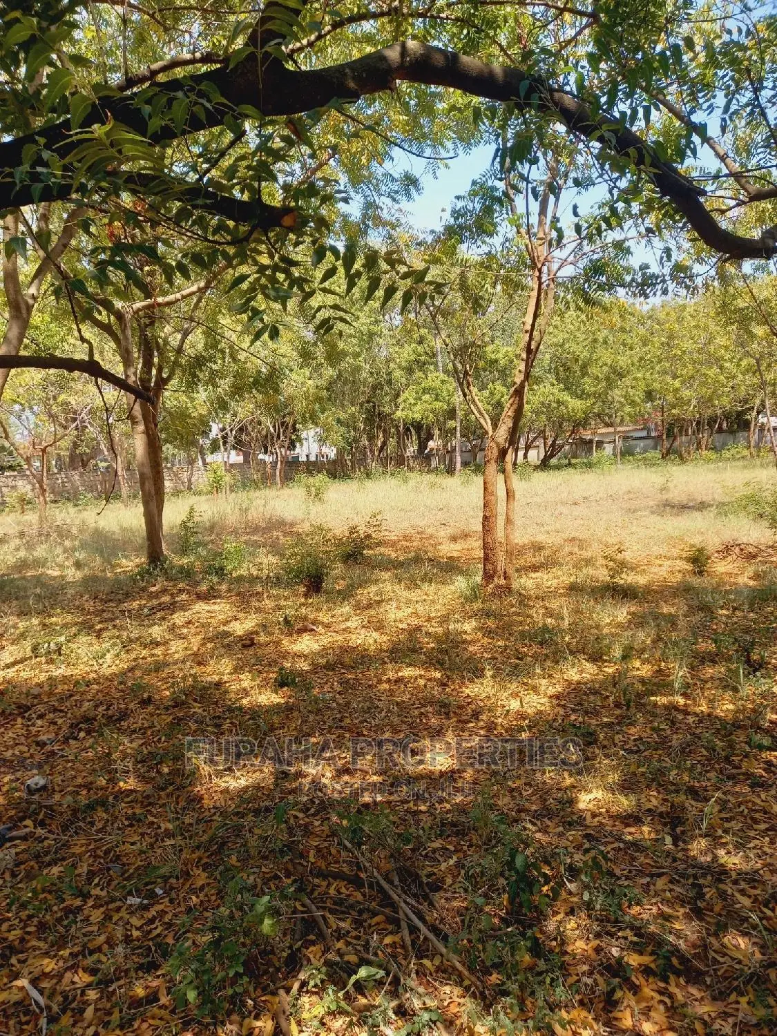 For Sale 1 Acre Prime Land Old Nyali