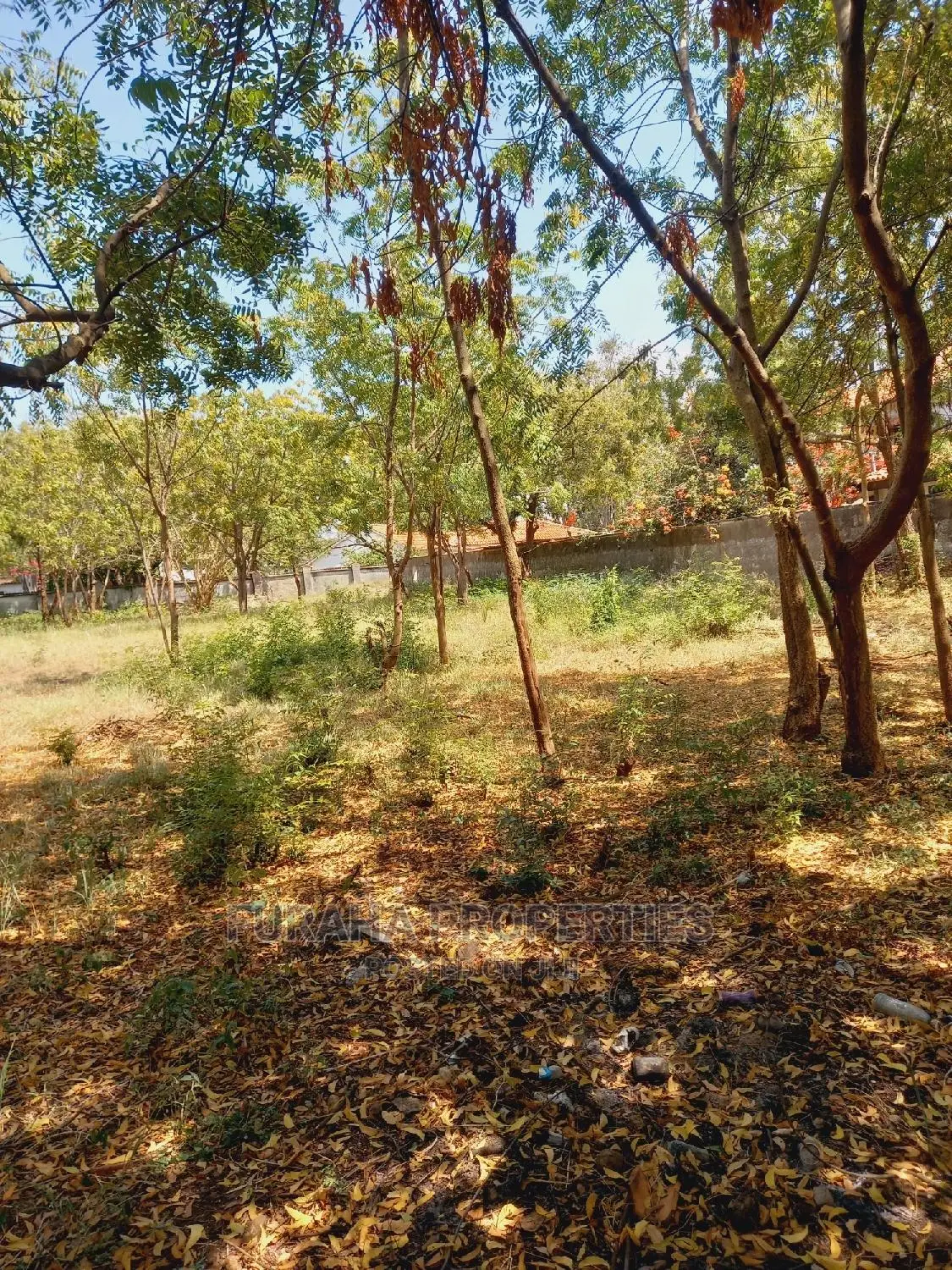 For Sale 1 Acre Prime Land Old Nyali