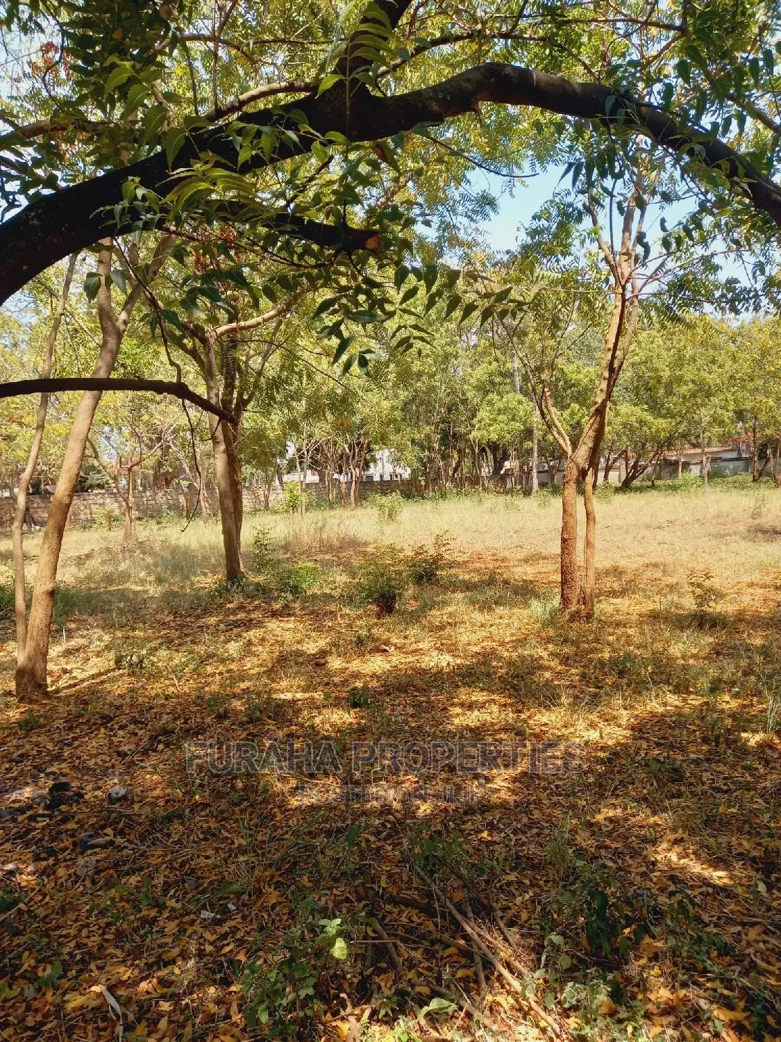 For Sale 1 Acre Prime Land Old Nyali