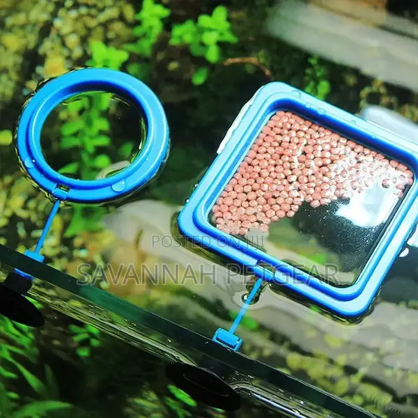 Aquarium Feeding Ring Fish Turtle Tank Automatic Feeder