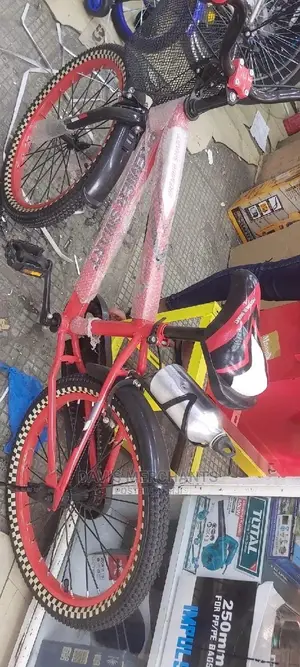 Bike Size 20 Size