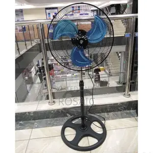 Standing Fan