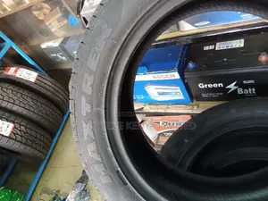 225/55r18 Maxtrek Tyre