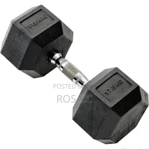 Rubber Hexagonal Dumbbell 17.5 KGS