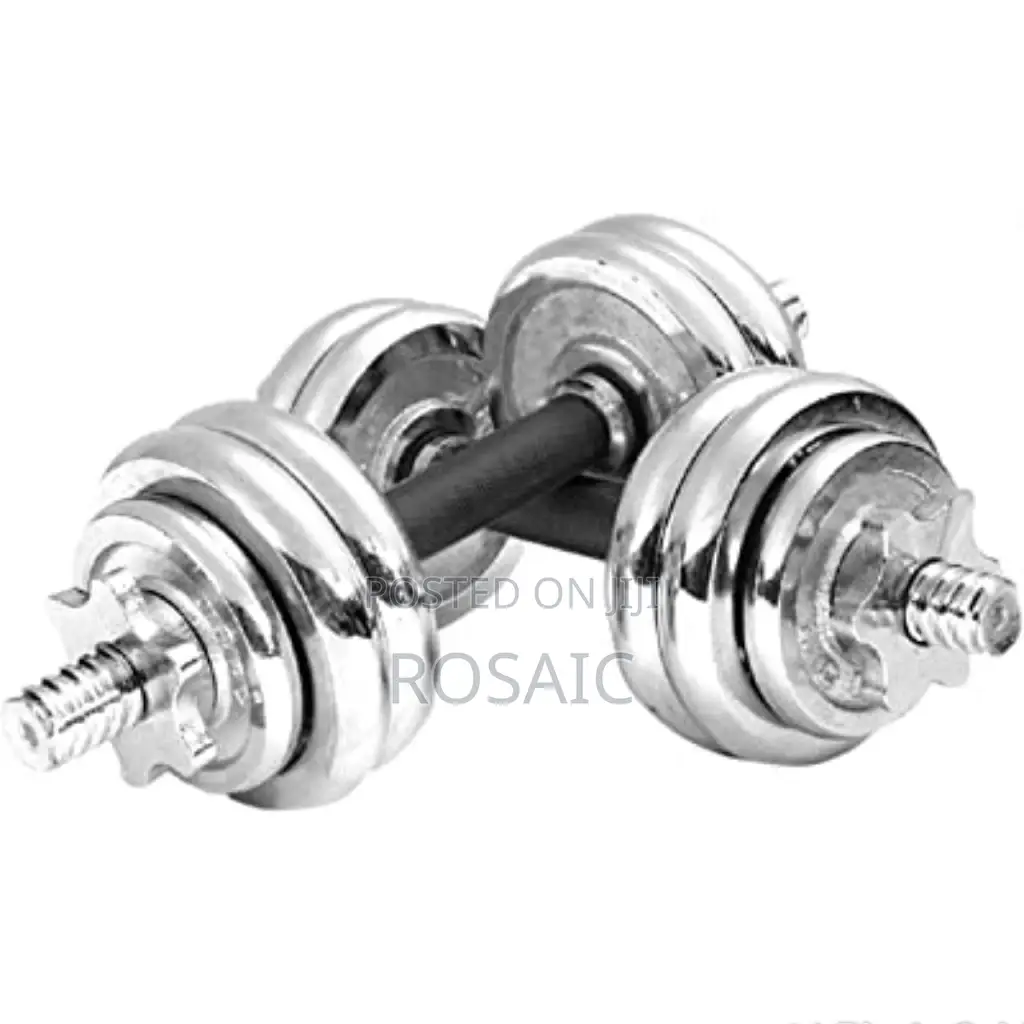 15 KGS Chrome Dumbbell