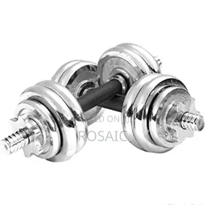 15 KGS Chrome Dumbbell