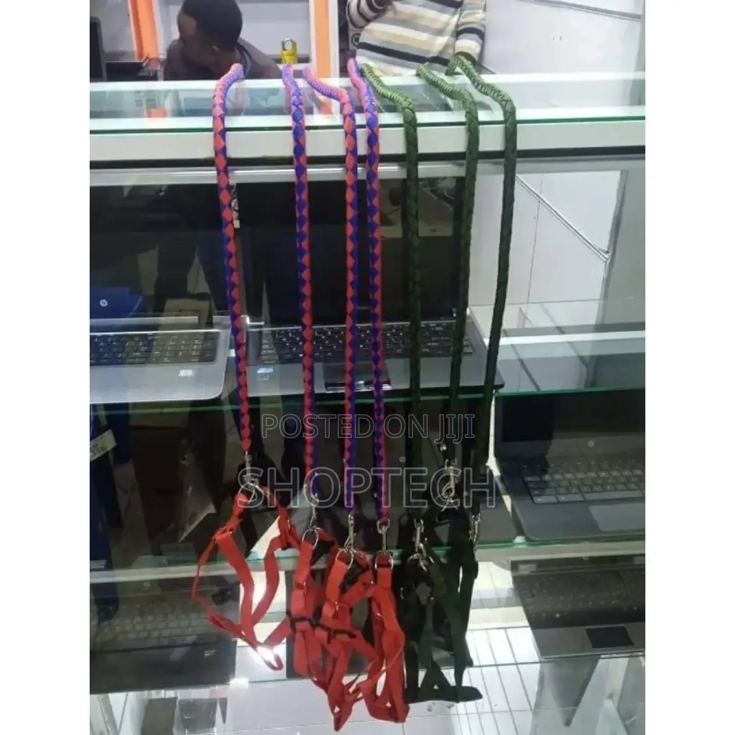 Dog Leash.