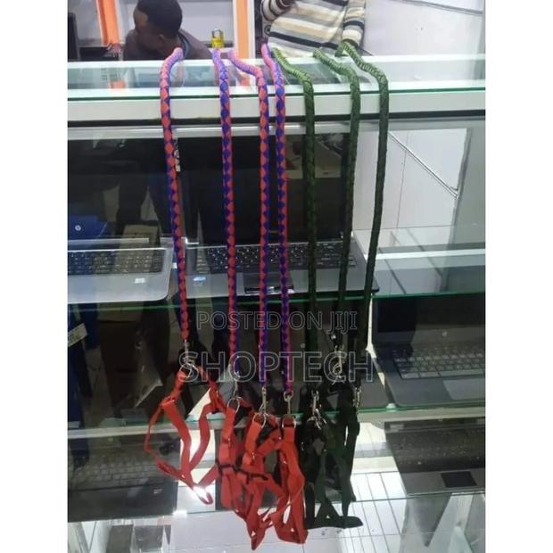 Dog Leash. - main view