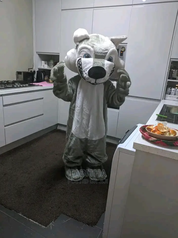 Adults Mascot Costumes Available For Sale Only