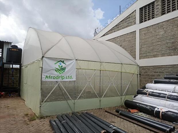 Greenhouse Polythene - main view