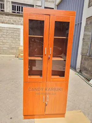 2 Door Office Cabinet
