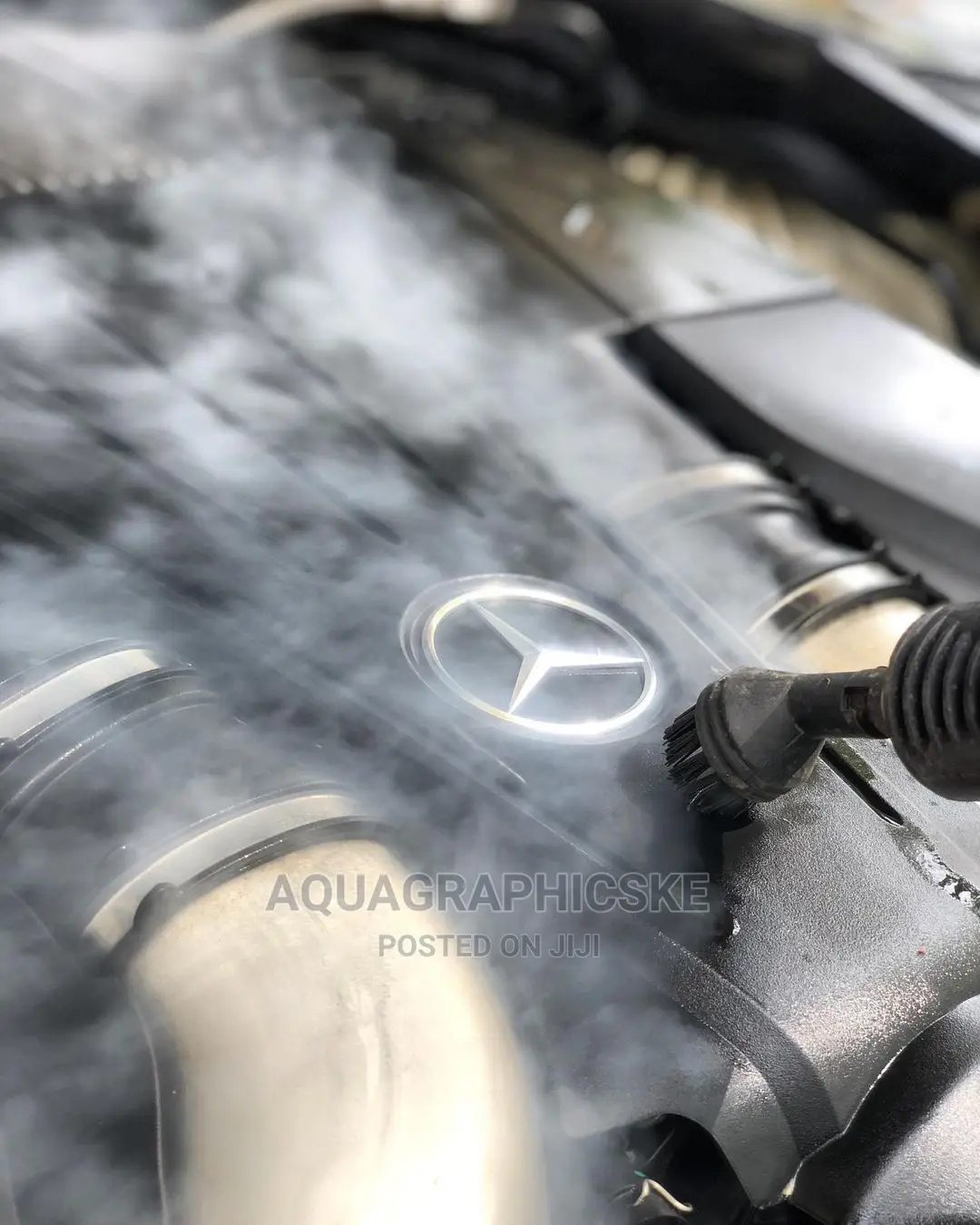 Engine Steam Wash/Detailing