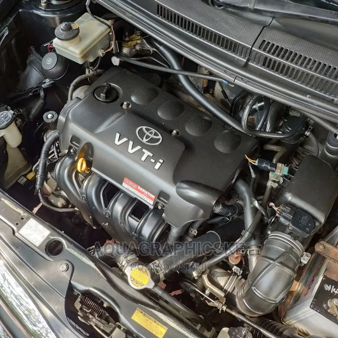 Engine Steam Wash/Detailing