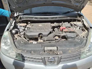 Engine Steam Wash/Detailing