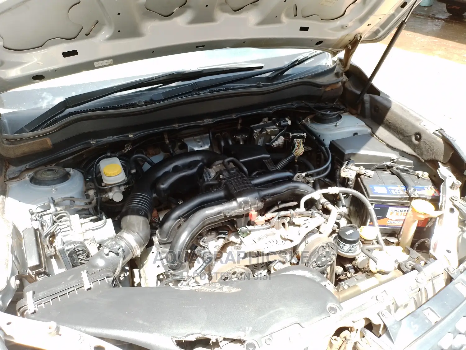 Engine Steam Wash/Detailing