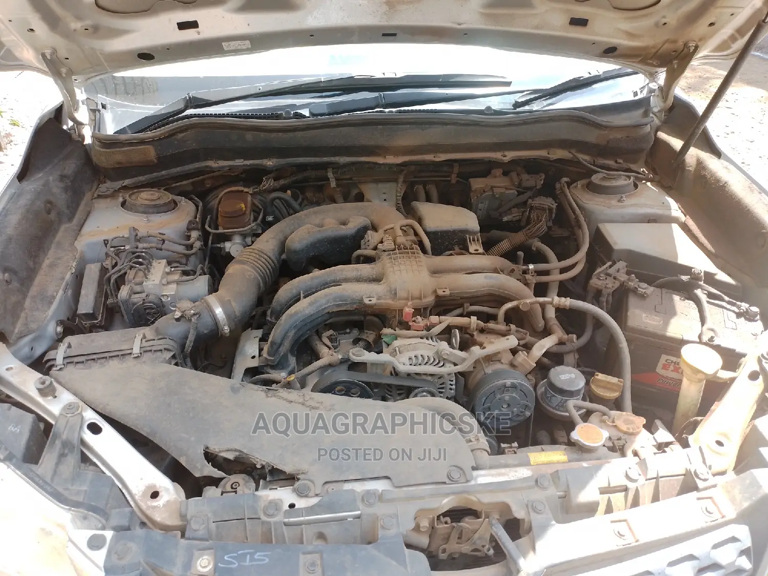 Engine Steam Wash/Detailing