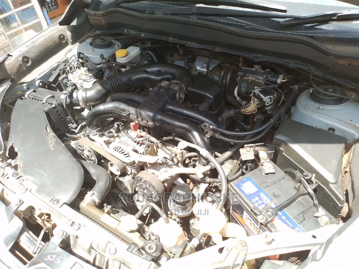 Engine Steam Wash/Detailing