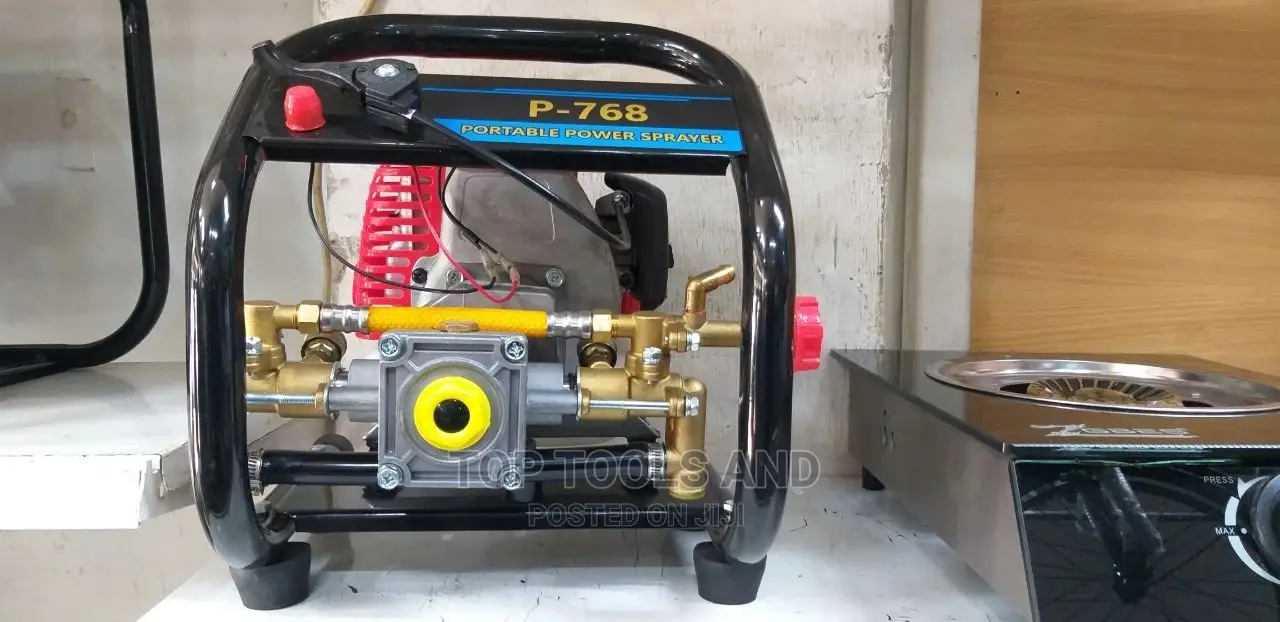 Portable Power Sprayer Electric