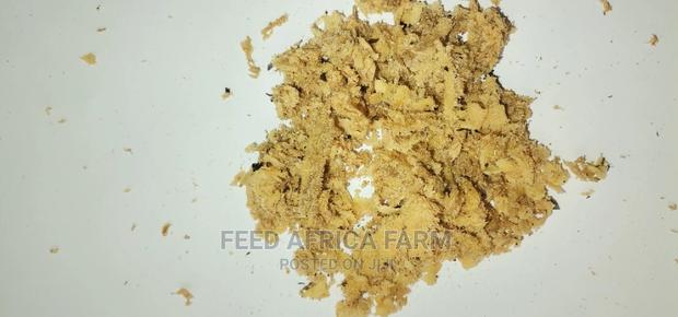 Black Soldier Fly - thumbnail 7