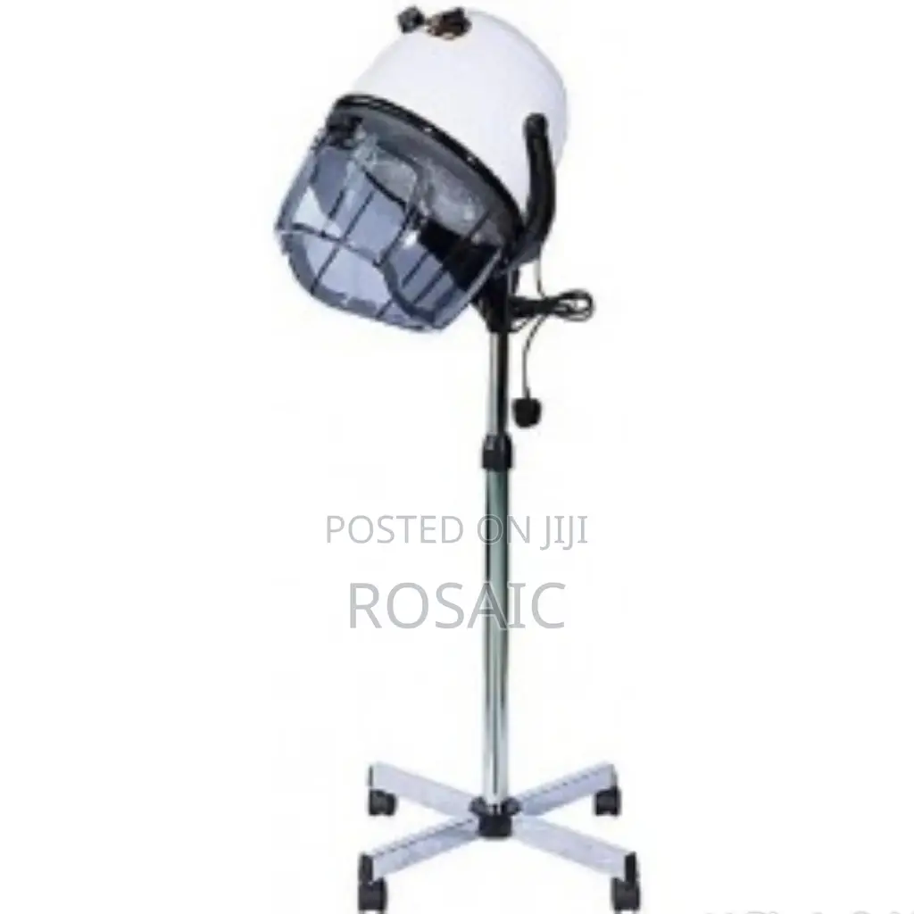 Salon Equator Hair Dryer