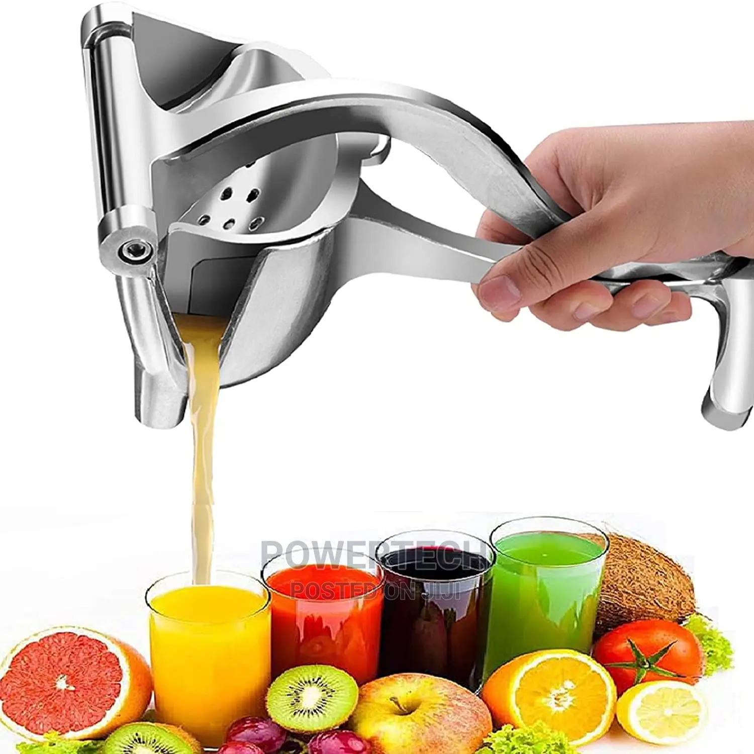 Fruit Press Juicer Heavy Duty√