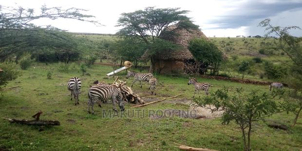 Best Makuti Roofing and Installation - thumbnail 8