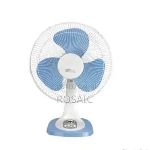 Premier Desk Fan