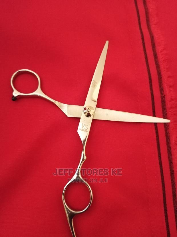 Silver Coated Scissors - main view